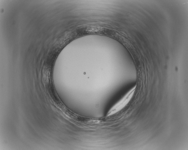 X0000061720227200512302128