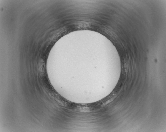 X0000061720228200512302128