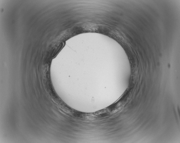 X0000061720229200512302128