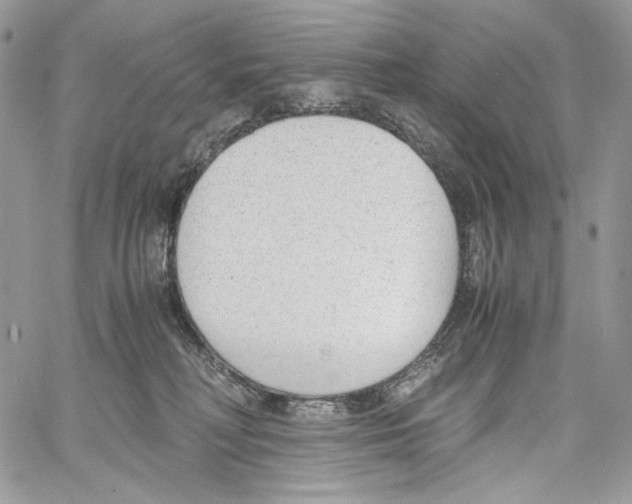 X0000061720230200512302128