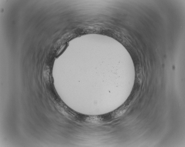 X0000061720231200512302128