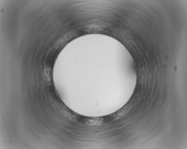 X0000061720232200512302128