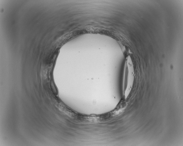 X0000061720233200512302128