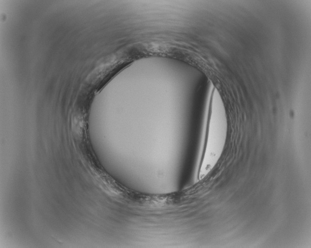 X0000061720235200512302128