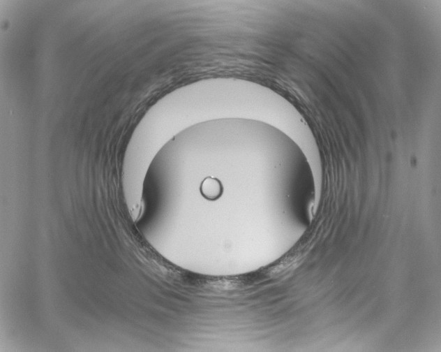 X0000061720237200512302128