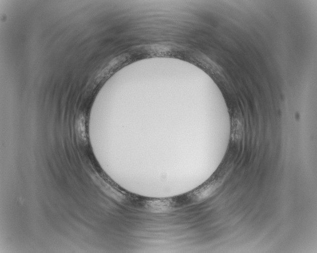 X0000061720238200512302128