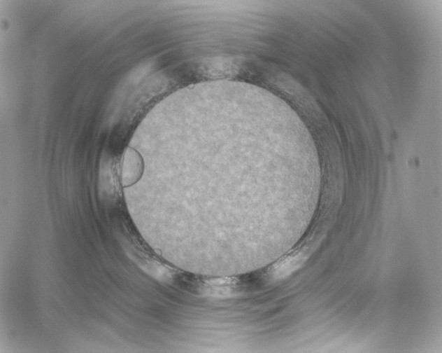 X0000061720240200512302128