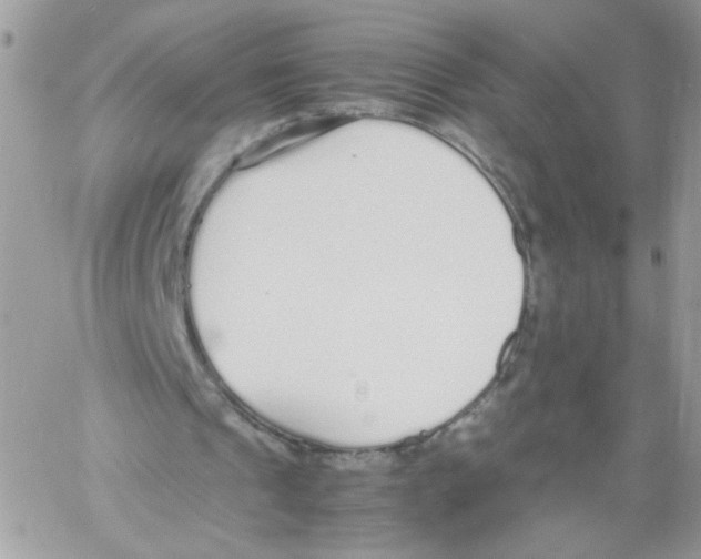 X0000061720241200512302127