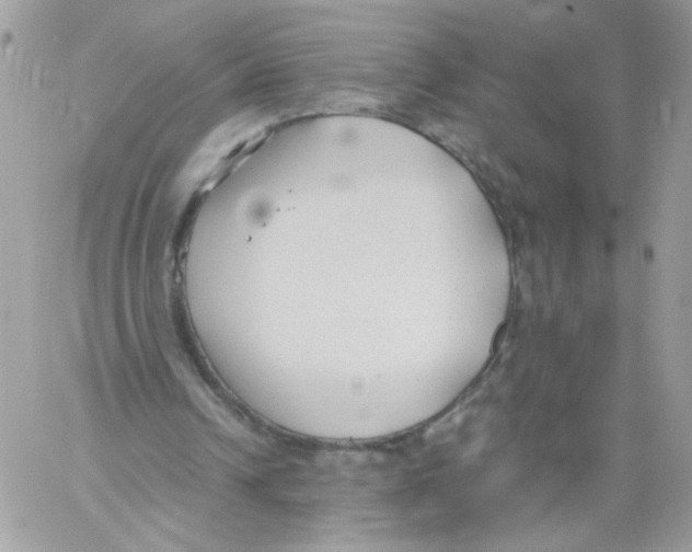 X0000061720242200512302127