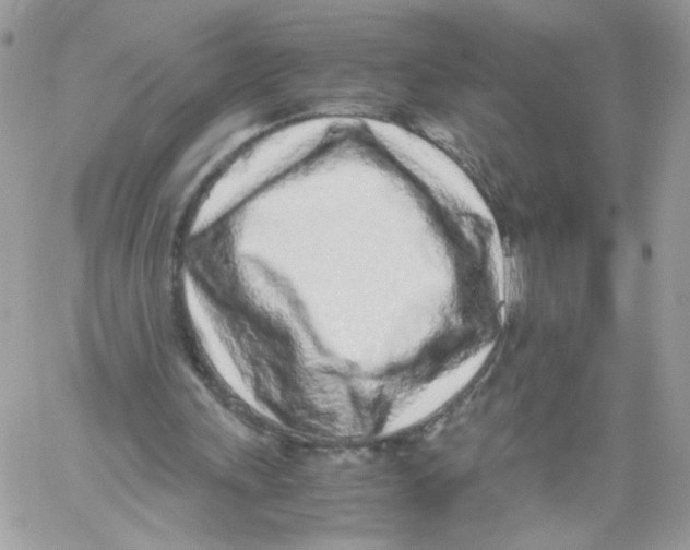 X0000061720243200512302127