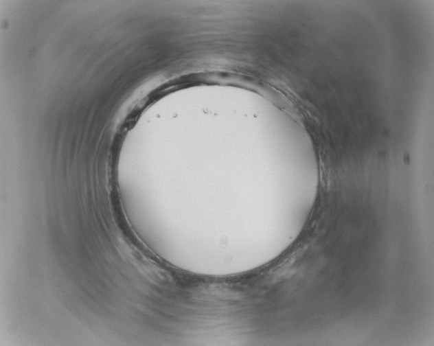 X0000061720244200512302127