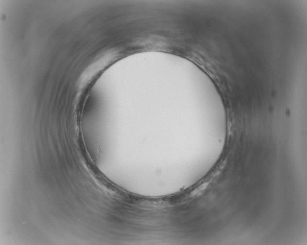 X0000061720245200512302127