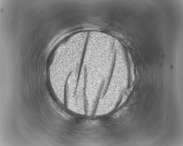 X0000061720247200512302127