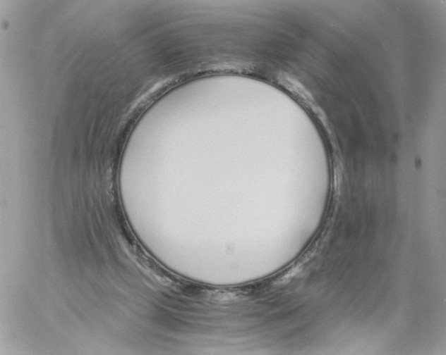 X0000061720249200512302127