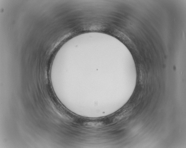 X0000061720251200512302127