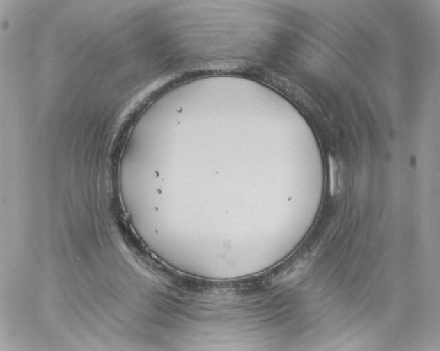 X0000061720252200512302127