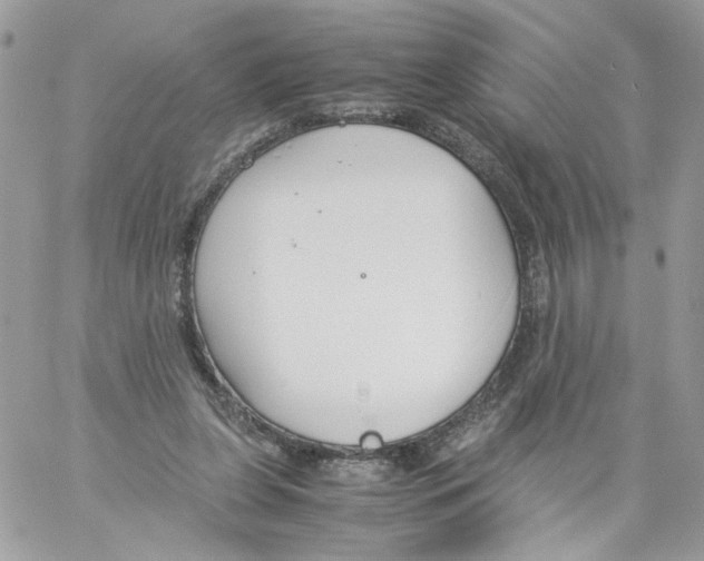 X0000061720255200512302127