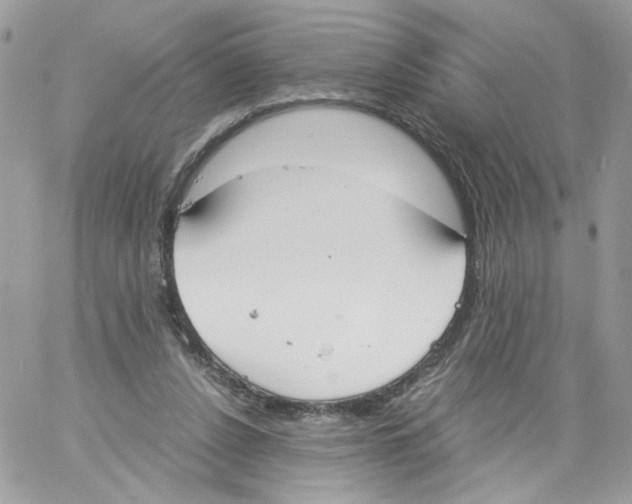 X0000061720256200512302127