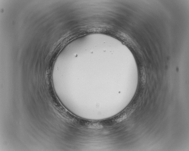 X0000061720258200512302127