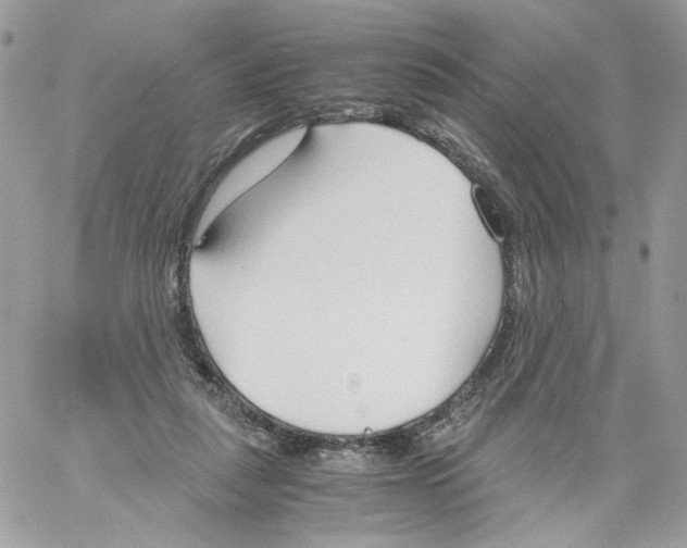 X0000061720259200512302127