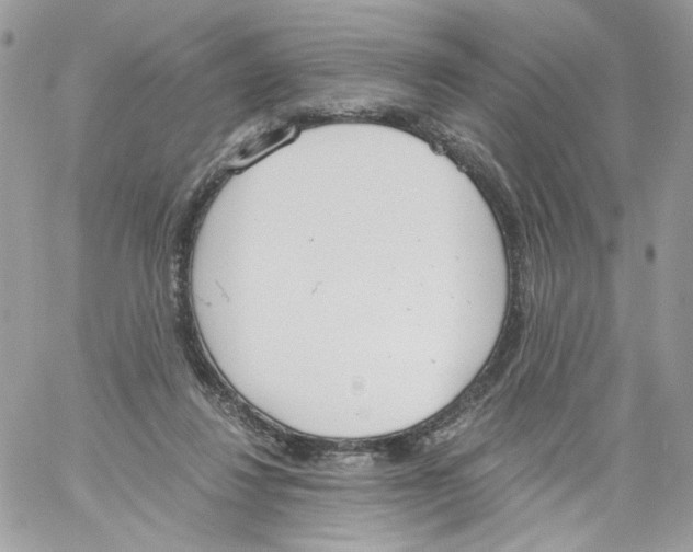 X0000061720260200512302127