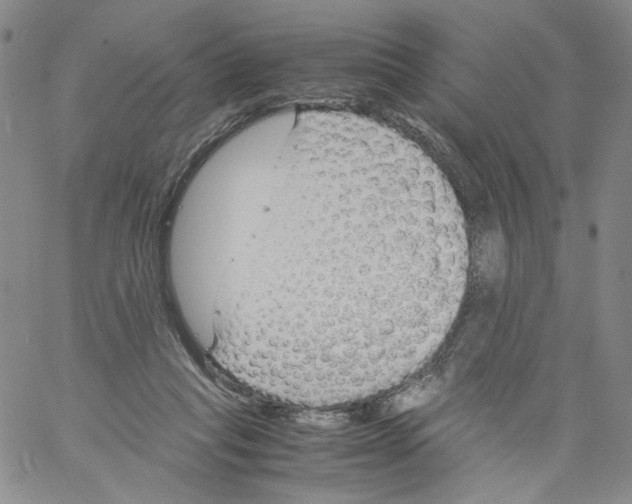 X0000061720261200512302127