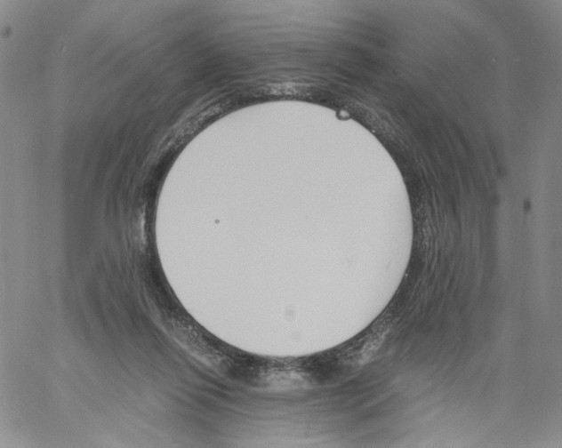 X0000061720262200512302127