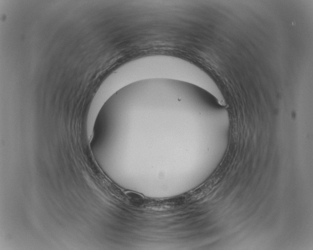 X0000061720263200512302127