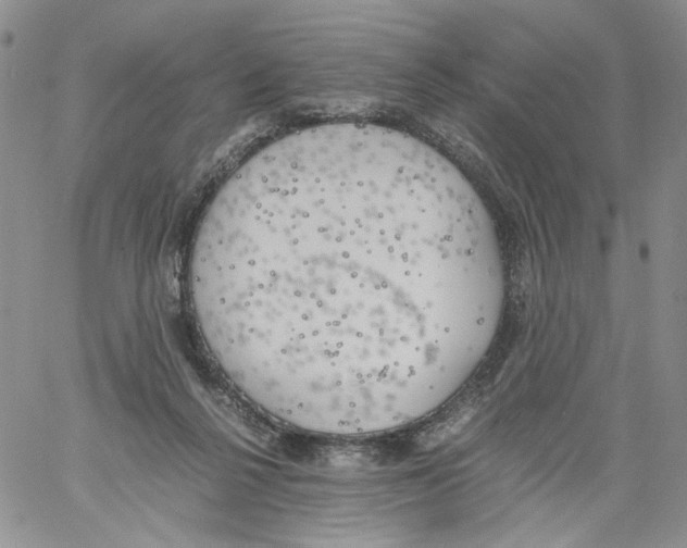 X0000061720264200512302127