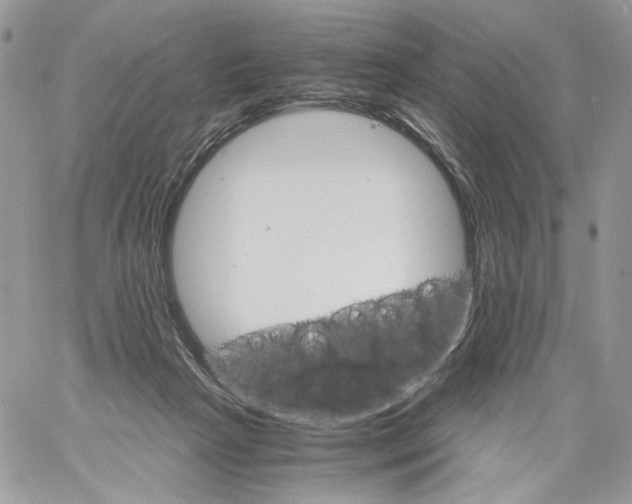 X0000061720265200512302127