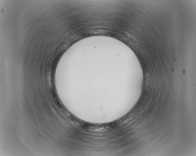 X0000061720267200512302127