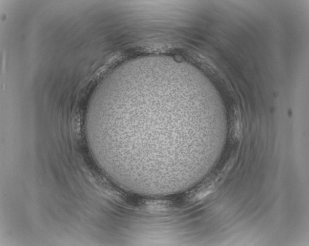 X0000061720268200512302127