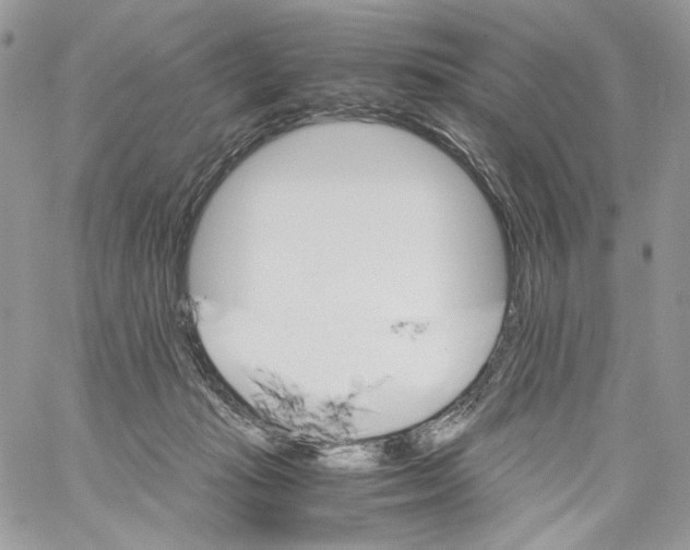 X0000061720269200512302127