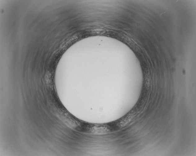 X0000061720270200512302127