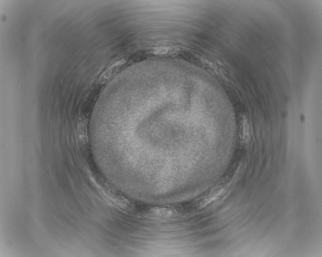 X0000061720272200512302127