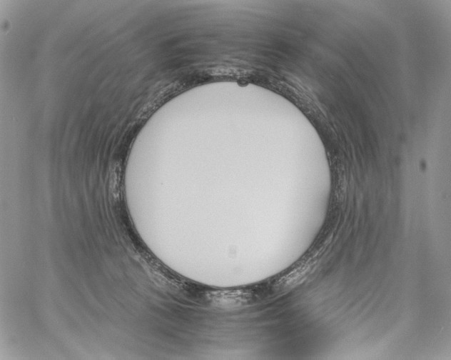 X0000061720273200512302127