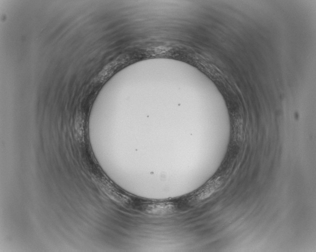 X0000061720274200512302127