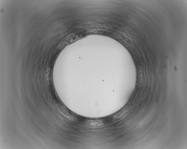 X0000061720275200512302128