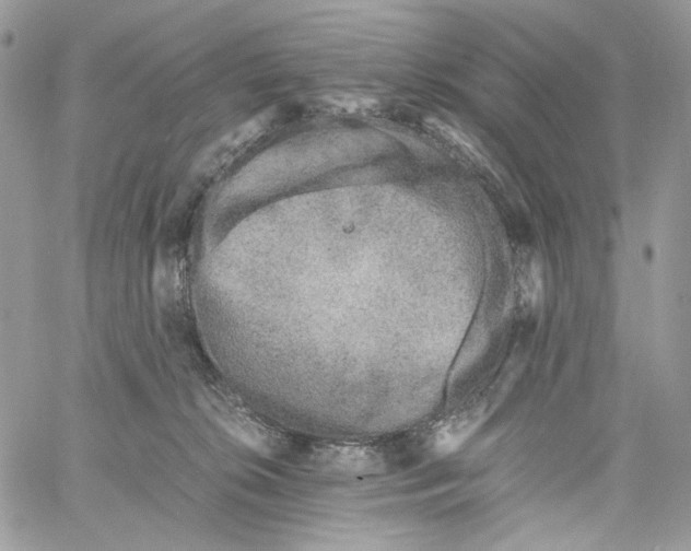 X0000061720276200512302128