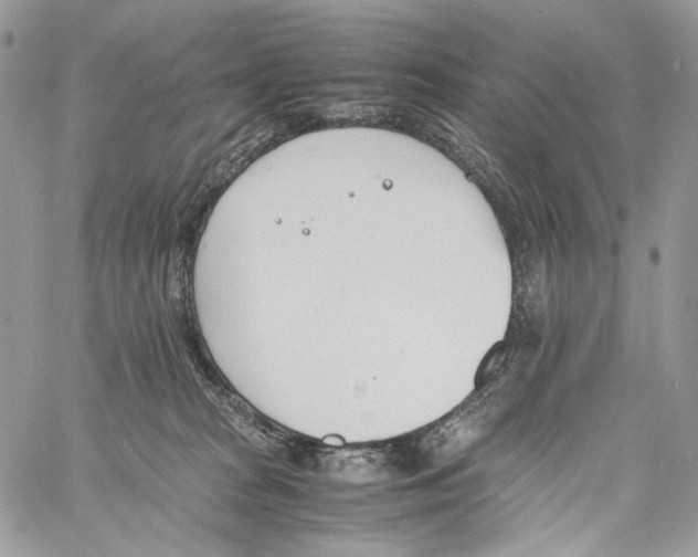 X0000061720277200512302128