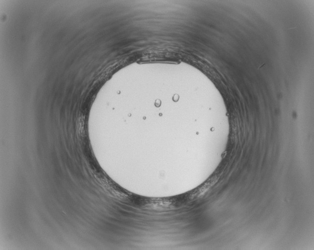 X0000061720278200512302128