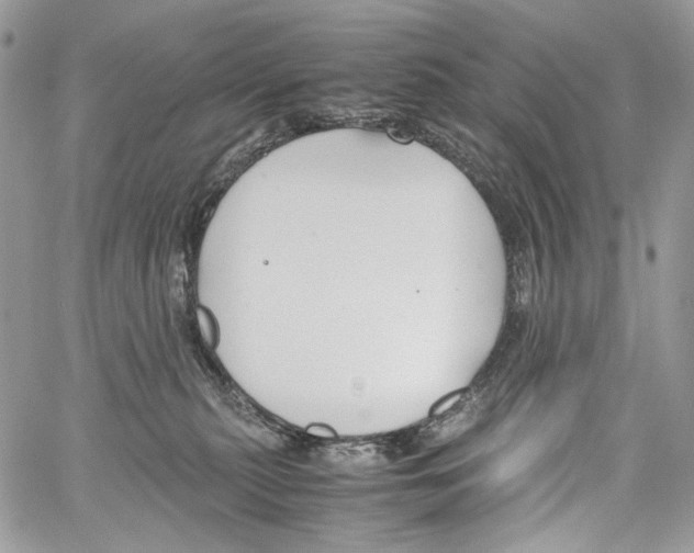 X0000061720279200512302128