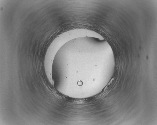 X0000061720280200512302128