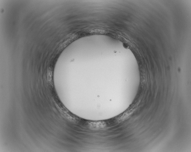 X0000061720281200512302128