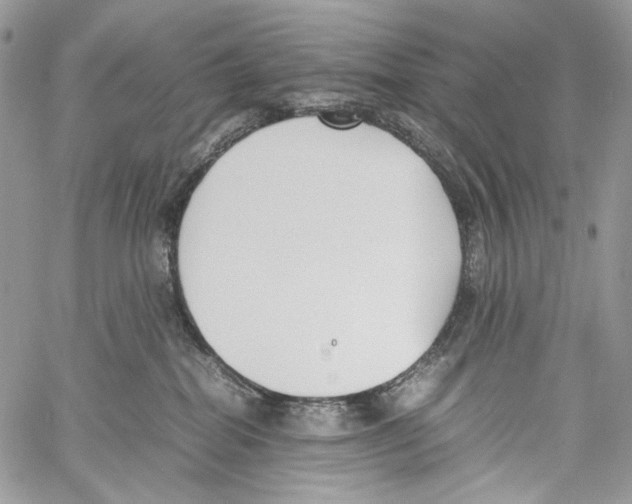 X0000061720282200512302128