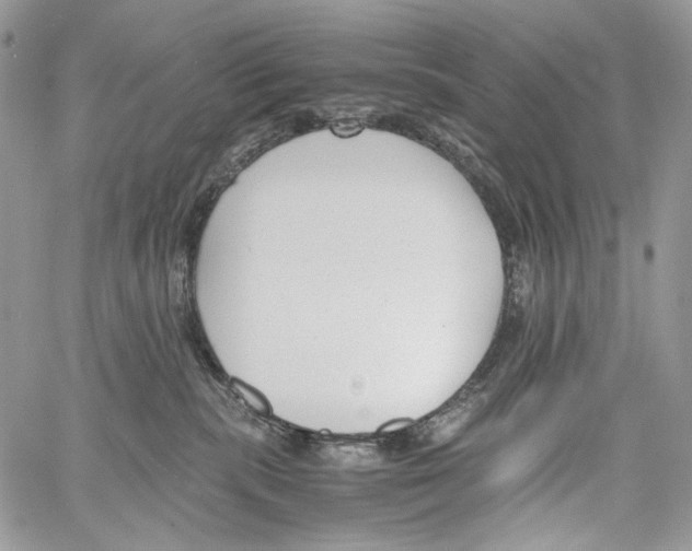 X0000061720283200512302128