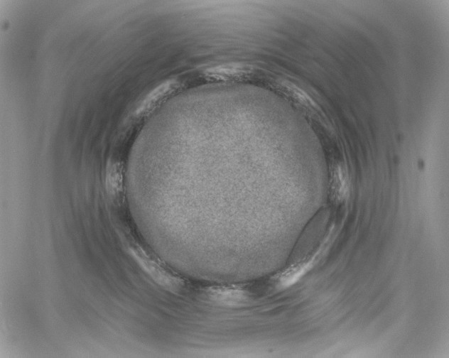 X0000061720284200512302128