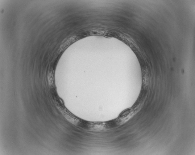 X0000061720285200512302128