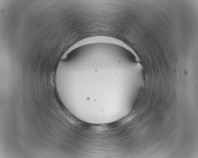 X0000061720286200512302128