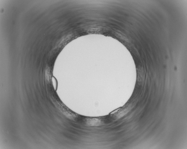 X0000061720287200512302128